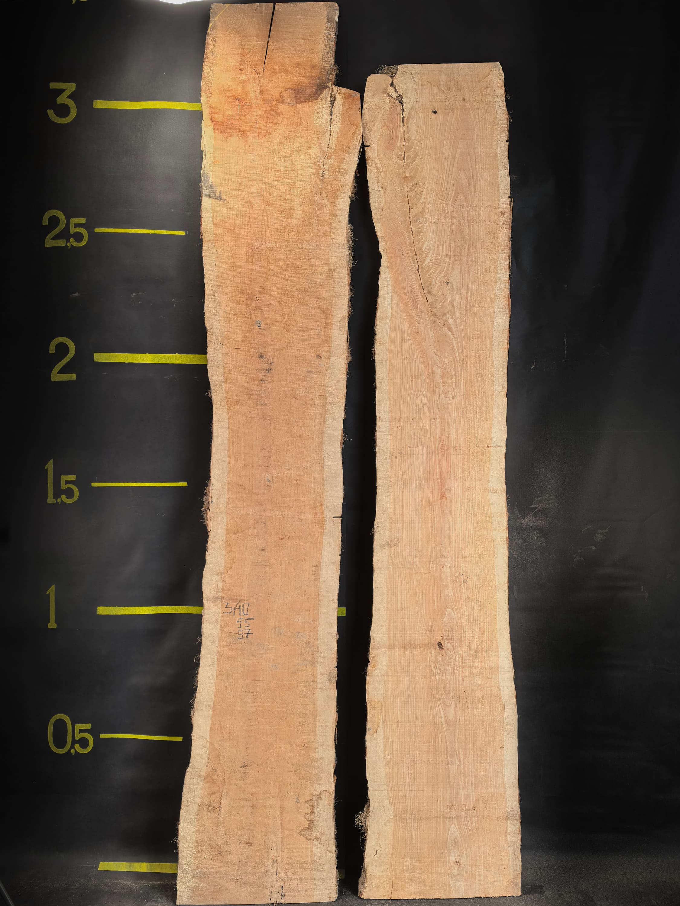 Acacia · Slab #3007, фото 1