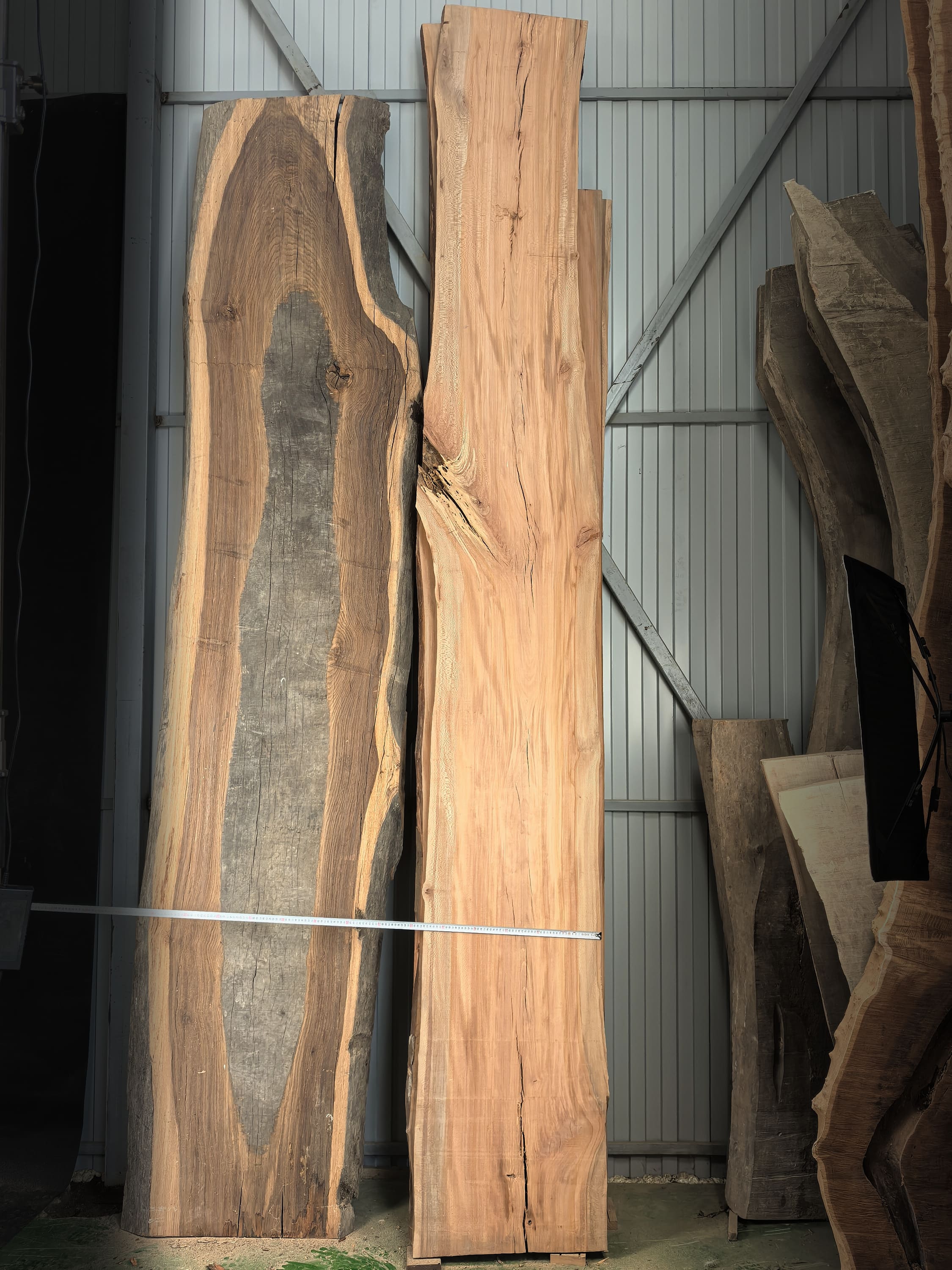 Oriental Plane · Slab #3011, 4000 × 550 × 50 mm