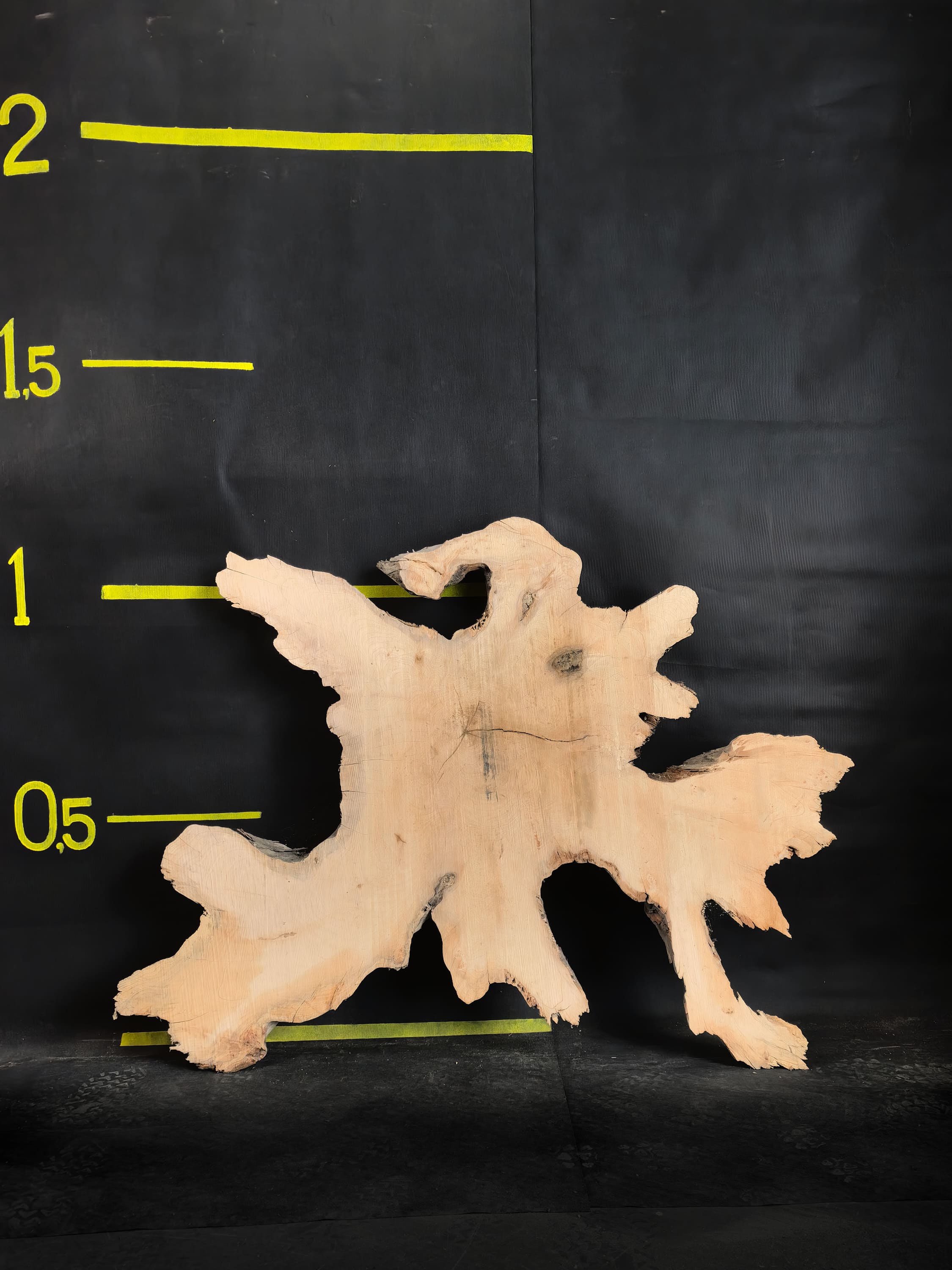 Cypress Root Slab · Slab #3013, 1400 × 1100 × 80 mm