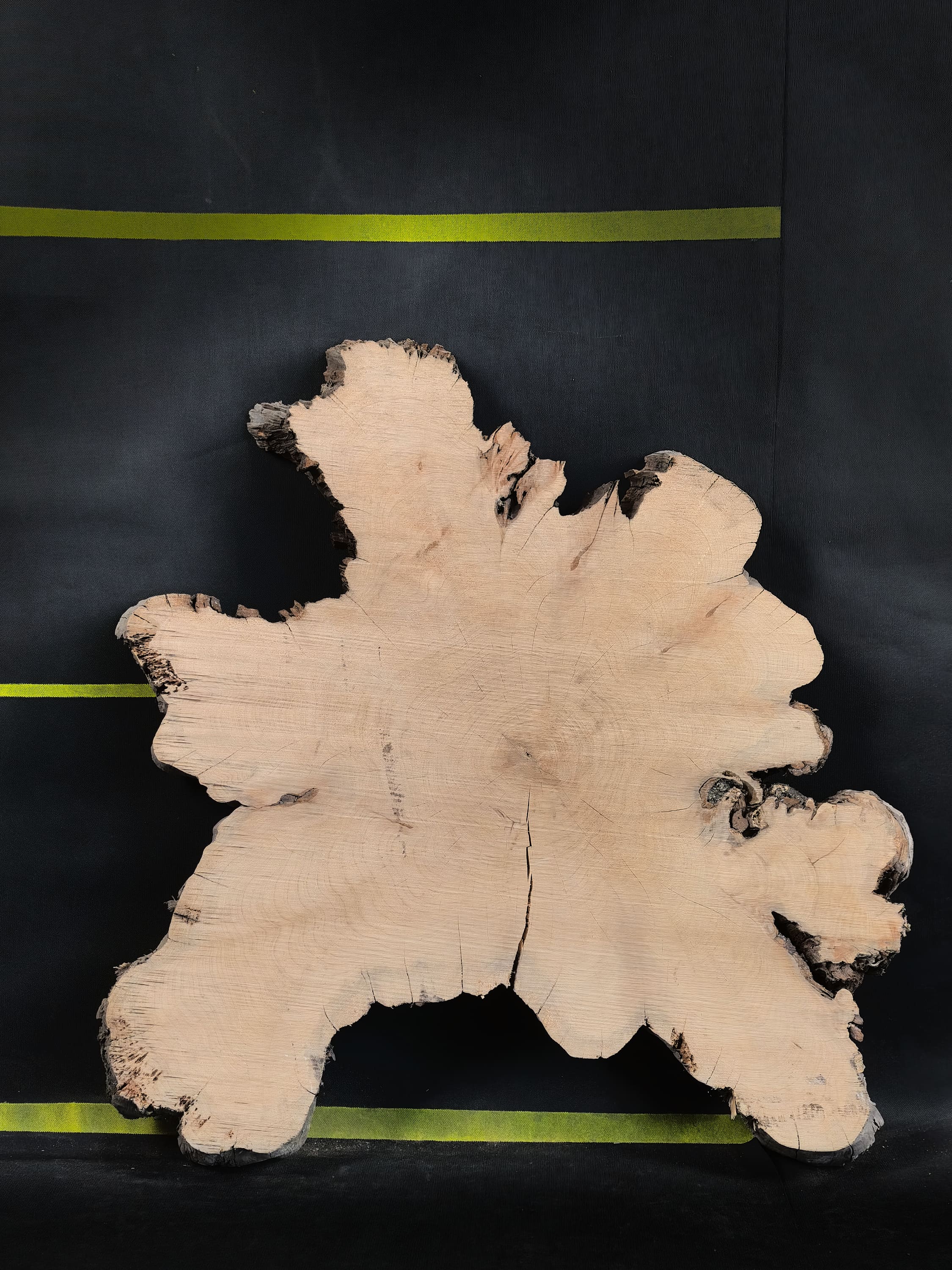 Cypress Root Slab · Slab #3016, фото 1