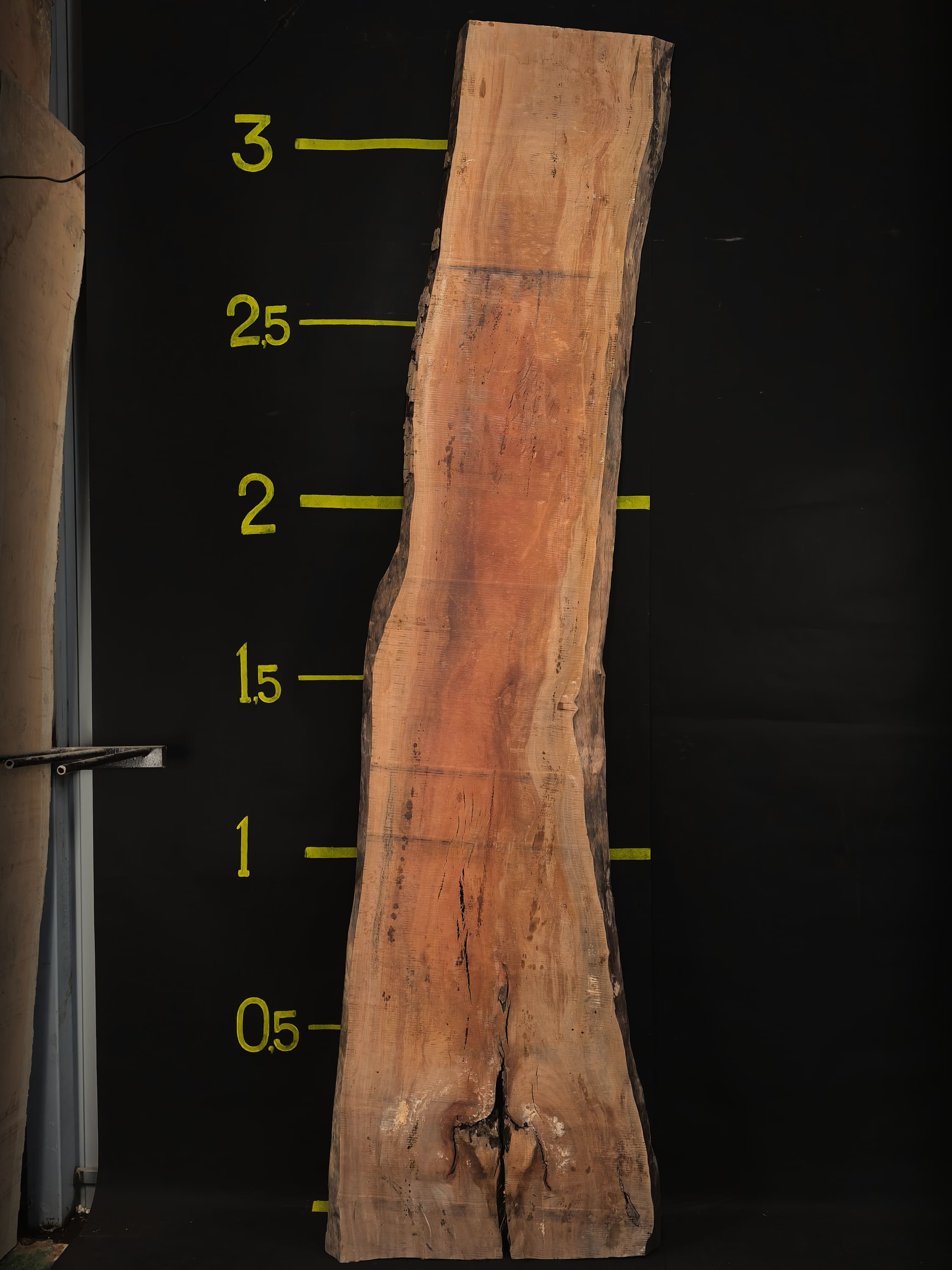 Oriental Plane · Slab #3019, 3300 × 800 × 60 mm