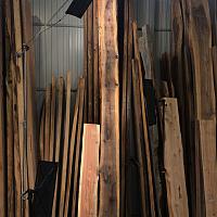 Coast redwood slab — photo 1