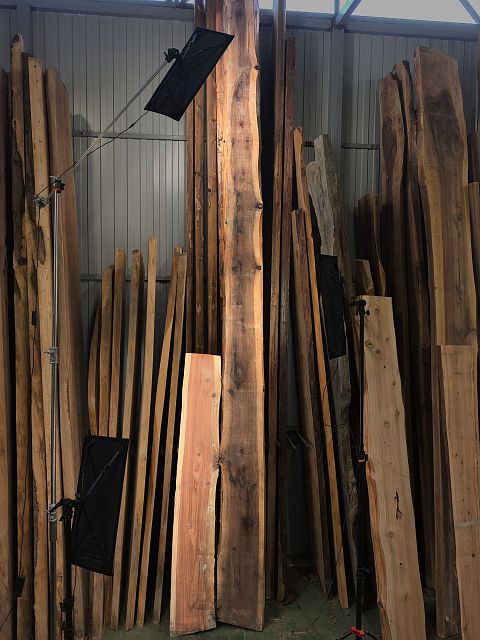 Coast redwood slab