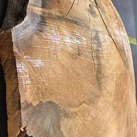 Deodar cedar slab — photo 6