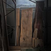 Dawn redwood slab — photo 2