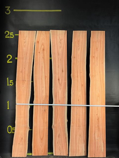 Eucalyptus slab