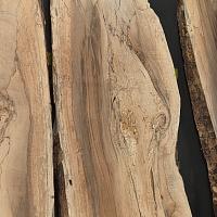 European walnut slab — photo 7