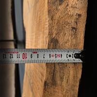 Southern magnolia slab — photo 6