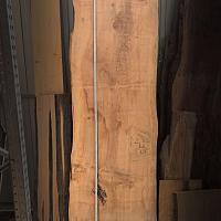 Dawn redwood slab — photo 3