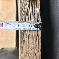 Deodar cedar slab — photo 5