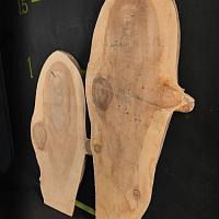 Dawn redwood slab — photo 6