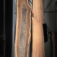 English oak slab — photo 2