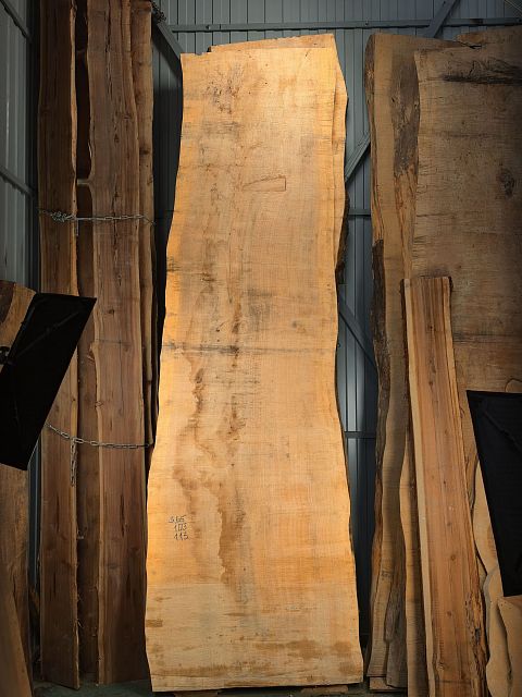Dawn redwood slab