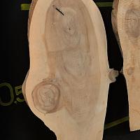 Dawn redwood slab — photo 5