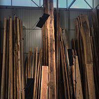 Coast redwood slab — photo 2