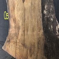 Deodar cedar slab — photo 8