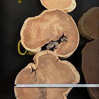 Mulberry slab — photo 3