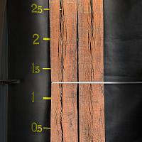 Eucalyptus slab — photo 2