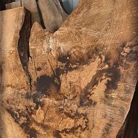 European ash slab — photo 3