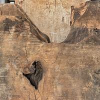 European ash slab — photo 5