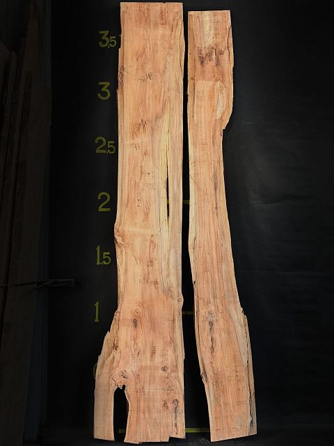 Coast redwood slab