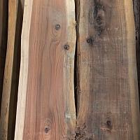 Coast redwood slab — photo 4