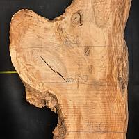 Southern magnolia slab — photo 2