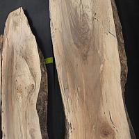 European walnut slab — photo 8