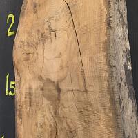 Deodar cedar slab — photo 6