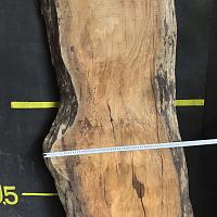 Deodar cedar slab — photo 3