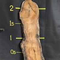 Deodar cedar slab — photo 2