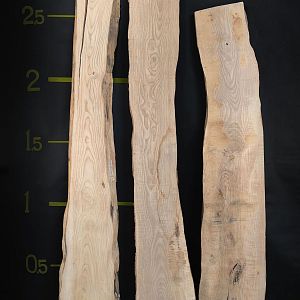 Japanese ash