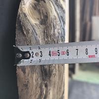 Deodar cedar slab — photo 5