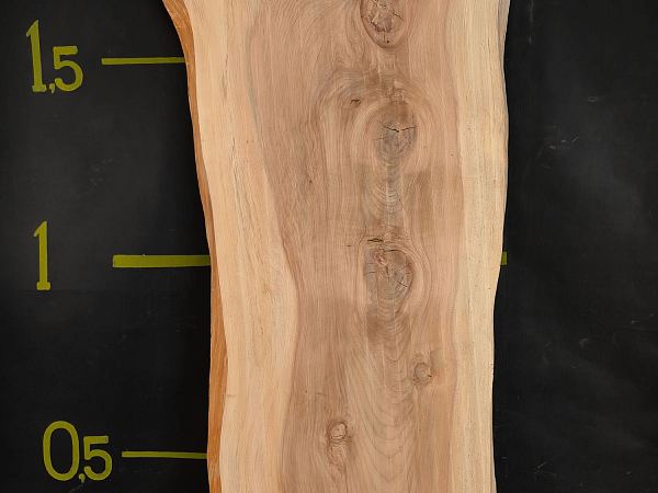 Dawn redwood