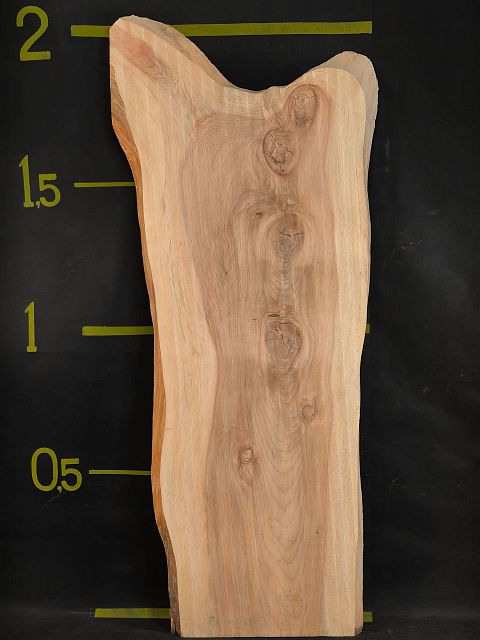 Dawn redwood slab