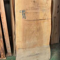 Dawn redwood slab — photo 5