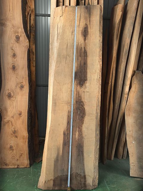 Coast redwood slab
