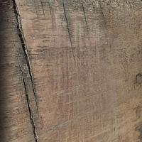 Sessile oak slab — photo 6