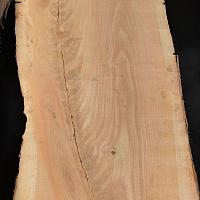 Акация slab — photo 6