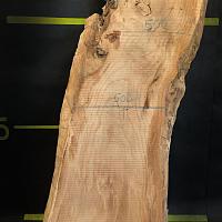 Southern magnolia slab — photo 3