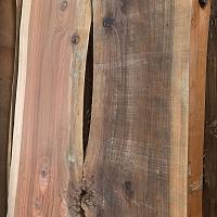 Coast redwood slab — photo 6