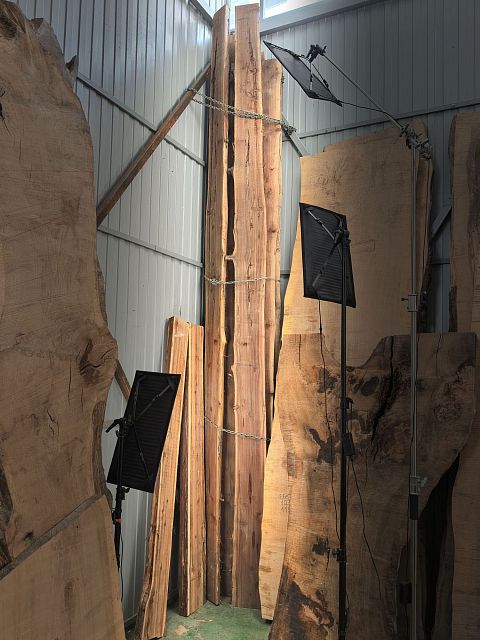 Coast redwood slab
