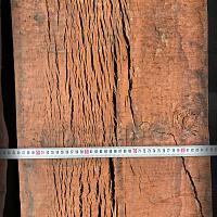 Eucalyptus slab — photo 5