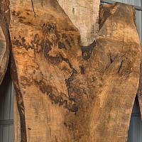 European ash slab — photo 6