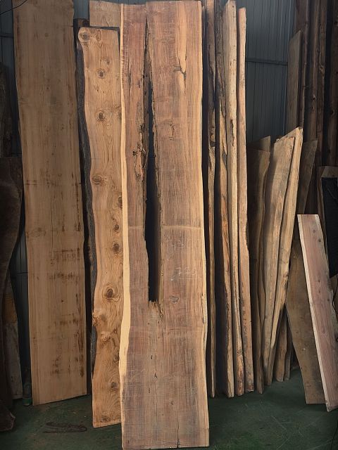 Coast redwood slab