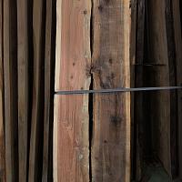 Coast redwood slab — photo 3