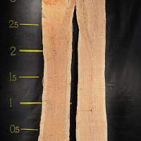 Акация slab — photo 1