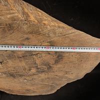 English oak slab — photo 7