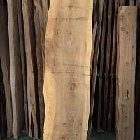 Dawn redwood slab — photo 1