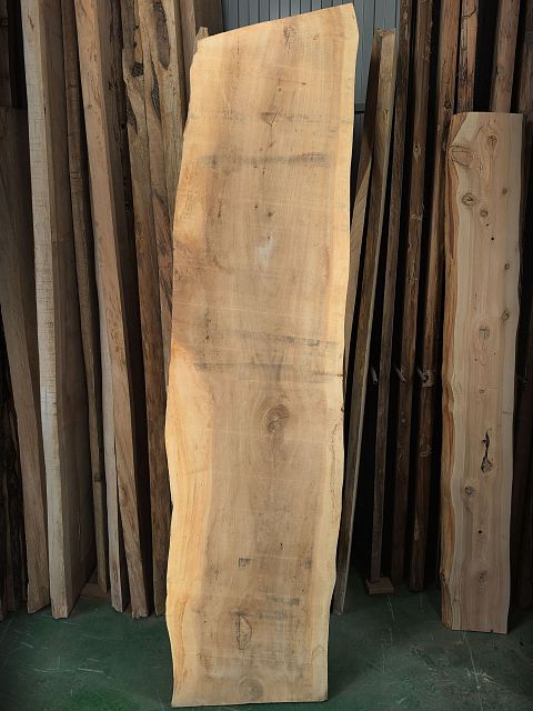 Dawn redwood slab